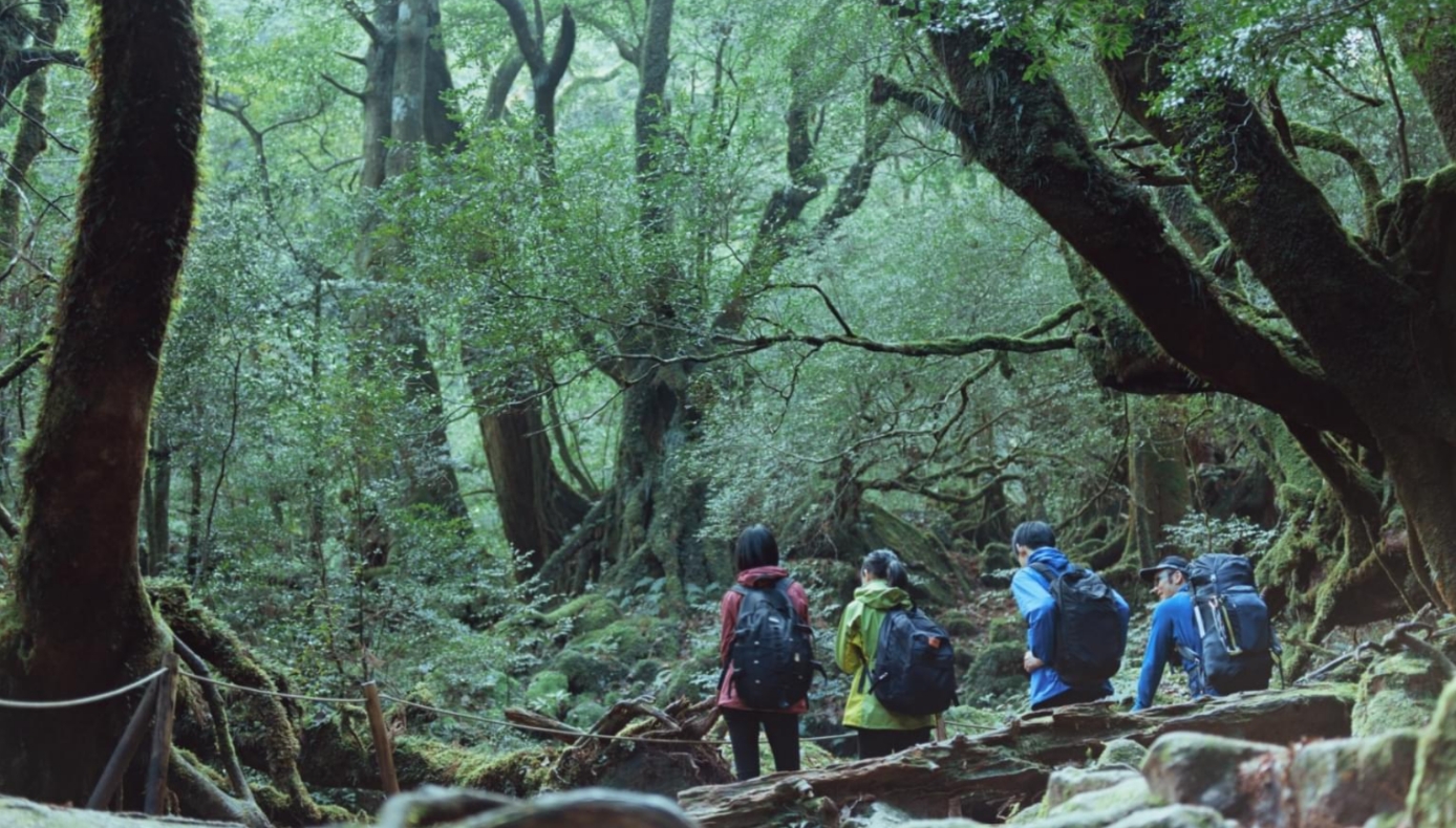 屋久島おおぞら高等学校の特徴