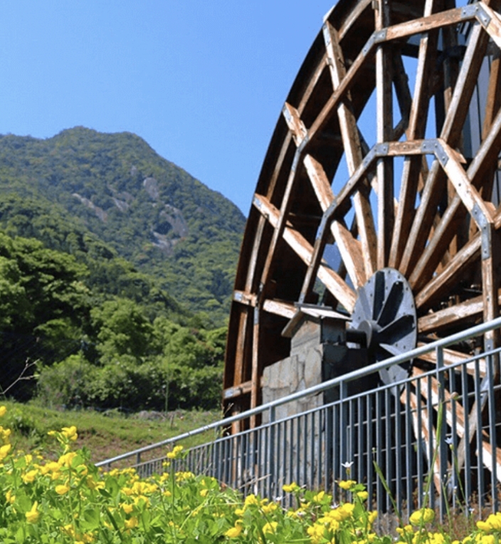 さまざまな「繋がり」から多くのことを学習できる