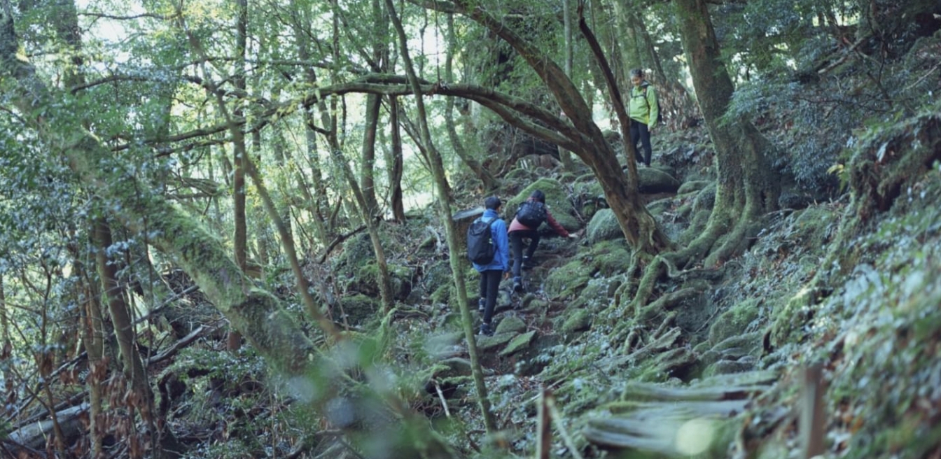 非日常を味わうことができる